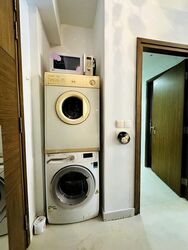 Loft @ Nathan (D10), Apartment #498374101